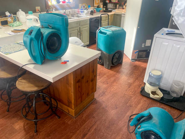 Best 24/7 water damage repair  in St Ann, MO