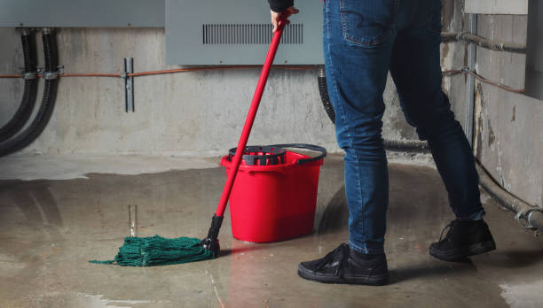 Best Flood restoration services  in St Ann, MO