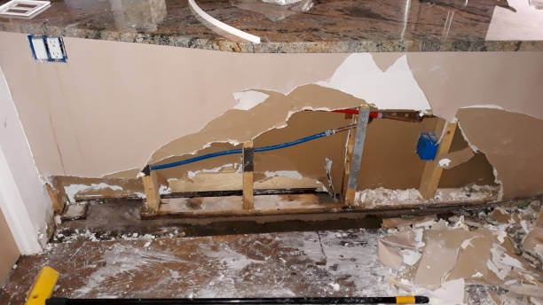 Best Professional water damage repair  in St Ann, MO