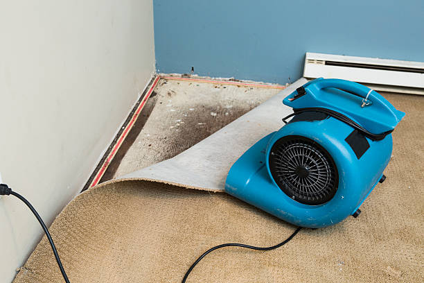 Reliable MO Water damage restoration Solutions