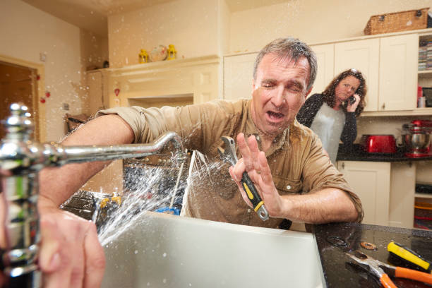 Best Water damage mitigation services  in St Ann, MO
